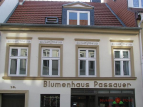2 Ferienwohnungen mitten in der Innenstadt in Greifswald